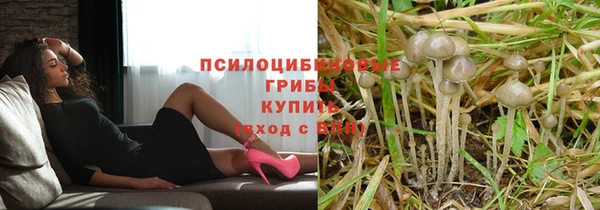 Альфа ПВП Аркадак