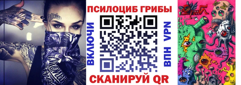 купить наркотики сайты Пугачёв Псилоцибиновые грибы MAGIC MUSHROOMS